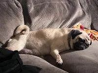 processed/808fff14-dffc-465e-8623-d41933b34b18/facility/384dbf8d-7997-4302-8c0f-ef03ef128084