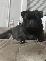 processed/808fff14-dffc-465e-8623-d41933b34b18/facility/6833b908-e41a-4cd2-8d3a-ed2fded3b2fc