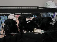 processed/808fff14-dffc-465e-8623-d41933b34b18/facility/82c785ad-e353-4748-a50b-80a3de443eed