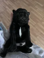 processed/808fff14-dffc-465e-8623-d41933b34b18/facility/c5af51ff-8220-4e03-9460-432da09d5092