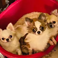 processed/80923188-2f91-42b9-a89c-a6ed0f173133/facility/48120518-2b7b-4ca6-b21c-dc3b746ae711