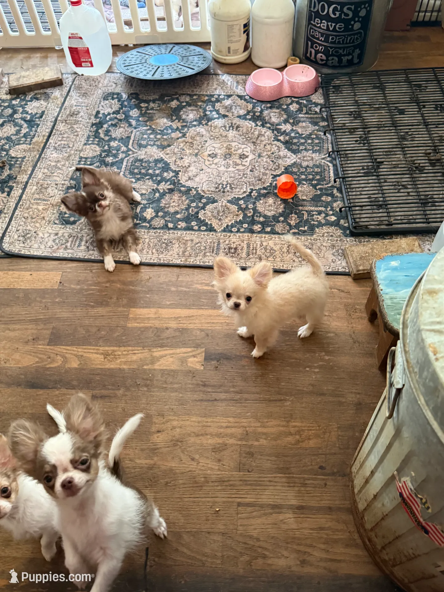 processed/80923188-2f91-42b9-a89c-a6ed0f173133/facility/607f2ddf-2eb1-4c9f-952b-7199a8ebba9a