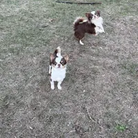 processed/80923188-2f91-42b9-a89c-a6ed0f173133/facility/9f4b6a09-9fa8-4bce-98d7-a1b7da89e6d7