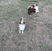 processed/80923188-2f91-42b9-a89c-a6ed0f173133/facility/9f4b6a09-9fa8-4bce-98d7-a1b7da89e6d7