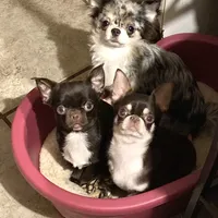 processed/80923188-2f91-42b9-a89c-a6ed0f173133/facility/c6366422-f069-4b2a-9796-f904168c1a92