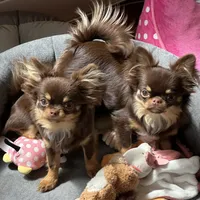 processed/80923188-2f91-42b9-a89c-a6ed0f173133/facility/cc660f7f-8bef-4f1f-87b2-80e2e41fa12e