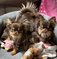 processed/80923188-2f91-42b9-a89c-a6ed0f173133/facility/cc660f7f-8bef-4f1f-87b2-80e2e41fa12e