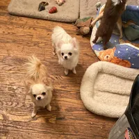 processed/80923188-2f91-42b9-a89c-a6ed0f173133/facility/ef7af536-fd85-437d-8d19-c68db5f4fbed