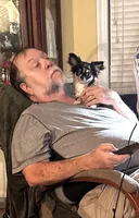 AKC Dingo (stunning merle), a male Chihuahua for sale in Purvis, MS – Photo 3 of 9