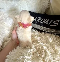 processed/80923188-2f91-42b9-a89c-a6ed0f173133/listing/3153f015-e498-4176-a9ac-f17b7a420821/0fc75960-56d3-4b80-a258-ab90aa164636