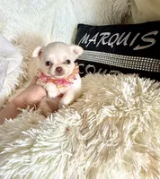 processed/80923188-2f91-42b9-a89c-a6ed0f173133/listing/3153f015-e498-4176-a9ac-f17b7a420821/5c7df51e-995c-42d3-9c7b-ca92af81e4b9