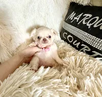 processed/80923188-2f91-42b9-a89c-a6ed0f173133/listing/3153f015-e498-4176-a9ac-f17b7a420821/8910a25e-ee66-4272-b1c0-224c0661541f