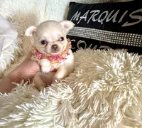 processed/80923188-2f91-42b9-a89c-a6ed0f173133/listing/3153f015-e498-4176-a9ac-f17b7a420821/d809a0c7-37e9-4493-a946-64fad3f291a5