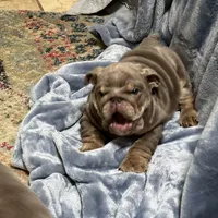 processed/80982531-65d3-454d-a51a-7350a7123f61/facility/8b3214ab-f9d3-46f8-b966-9ea83ac74aba