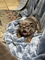 processed/80982531-65d3-454d-a51a-7350a7123f61/facility/8b3214ab-f9d3-46f8-b966-9ea83ac74aba