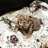 processed/80982531-65d3-454d-a51a-7350a7123f61/facility/b72c8f3a-4d2c-4e89-8cf4-707d0416b6f2