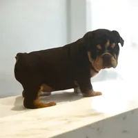 processed/80982531-65d3-454d-a51a-7350a7123f61/listing/3746c773-c909-490c-9d98-8c99b853a505/8bbf6e0b-462b-4f27-93f4-5b2f6c1906c8