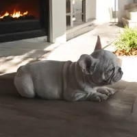 Snow man, a male French Bulldog for sale in Greensboro, NC – Photo 3 of 4