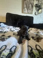 processed/809fab1e-c53b-42ee-b6e1-8f8e512eca43/facility/579f1dfd-5db4-49c5-b7d2-2273f836b1f3