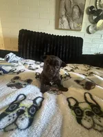 processed/809fab1e-c53b-42ee-b6e1-8f8e512eca43/facility/7a77941d-a11d-4814-b608-10b66c25450d