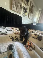 processed/809fab1e-c53b-42ee-b6e1-8f8e512eca43/facility/99315956-1cc3-4eab-b530-26dd18d962b3