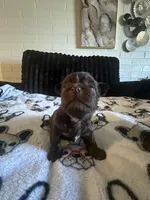 processed/809fab1e-c53b-42ee-b6e1-8f8e512eca43/facility/ee34e25c-a4c9-46cc-86dd-281dc83b90c6