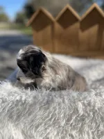 processed/80aa0437-42ea-43b2-bb7c-0eac73390f7e/listing/4dfaa8ea-5b88-4f84-a2bf-ed8d4eb88368/358aeb1b-22cd-4de3-8395-8bacc680f998