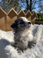 processed/80aa0437-42ea-43b2-bb7c-0eac73390f7e/listing/4dfaa8ea-5b88-4f84-a2bf-ed8d4eb88368/59be7bb4-6f91-4032-b29c-3fc3aa9dd560