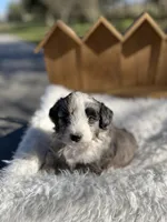 processed/80aa0437-42ea-43b2-bb7c-0eac73390f7e/listing/4dfaa8ea-5b88-4f84-a2bf-ed8d4eb88368/629011d3-c6cc-4fa9-84ec-d2378c245be0