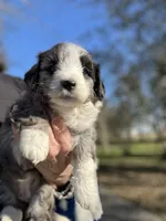 processed/80aa0437-42ea-43b2-bb7c-0eac73390f7e/listing/4dfaa8ea-5b88-4f84-a2bf-ed8d4eb88368/e8196447-17d2-4fcc-952a-b70cb18bd201