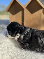 processed/80aa0437-42ea-43b2-bb7c-0eac73390f7e/listing/5da457ce-ab11-4da8-9c09-dedfb79892e6/2fe1fefa-a711-41a9-a4f9-788e3638ff2a