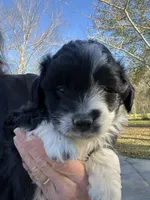 processed/80aa0437-42ea-43b2-bb7c-0eac73390f7e/listing/5da457ce-ab11-4da8-9c09-dedfb79892e6/ba5da419-0171-458b-8c13-621ac52c10ae