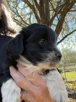 processed/80aa0437-42ea-43b2-bb7c-0eac73390f7e/listing/5da457ce-ab11-4da8-9c09-dedfb79892e6/cf915da8-6d0e-4f1d-b379-ff49a7d8acf7