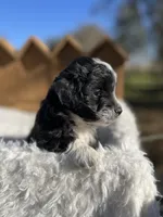 processed/80aa0437-42ea-43b2-bb7c-0eac73390f7e/listing/5da457ce-ab11-4da8-9c09-dedfb79892e6/e1f9af5f-d253-4444-9778-1cc22c515ec8