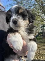 processed/80aa0437-42ea-43b2-bb7c-0eac73390f7e/listing/c1441796-ade2-41ca-9ad7-446f2eaab674/98507e9d-f5e0-436a-a65f-410e4908092d