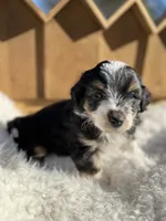 processed/80aa0437-42ea-43b2-bb7c-0eac73390f7e/listing/c1441796-ade2-41ca-9ad7-446f2eaab674/d7ef15c4-e273-4487-88f7-0b158ca6c4dd