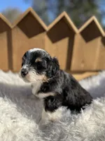 processed/80aa0437-42ea-43b2-bb7c-0eac73390f7e/listing/c1441796-ade2-41ca-9ad7-446f2eaab674/df99cc41-f686-4cf5-a330-1a5b423719dd