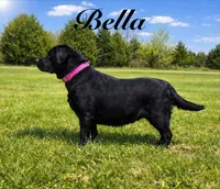 processed/80acc438-13ec-4a31-a1a2-dc47fc86327f/facility/8b74912b-2e96-4d0e-8245-f593797f7892