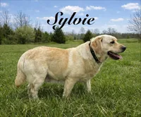 processed/80acc438-13ec-4a31-a1a2-dc47fc86327f/facility/ba6ba32f-cc7e-4866-844d-a0dbe86995b6