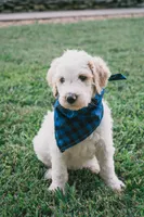 processed/80c67f8e-993c-413f-a062-e6006d07a3e1/facility/6fac400e-4e99-4527-8dbb-a3ec12201a8d