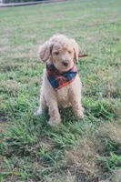 processed/80c67f8e-993c-413f-a062-e6006d07a3e1/facility/cae8295c-1bdc-4fdf-8b79-3a5ed68a327a