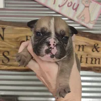 processed/80c7d41a-2f99-450b-89e2-54cdf307fd3f/facility/077020ff-53c0-4508-a68f-8203d39991dc