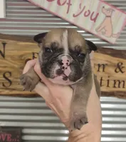 processed/80c7d41a-2f99-450b-89e2-54cdf307fd3f/facility/077020ff-53c0-4508-a68f-8203d39991dc