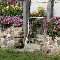 processed/80c7d41a-2f99-450b-89e2-54cdf307fd3f/facility/1152cdfc-e2d6-4476-a736-fd12d84442af