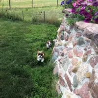 processed/80c7d41a-2f99-450b-89e2-54cdf307fd3f/facility/9b2ca161-fc34-4aa6-bcbe-9d1d5d604ef6