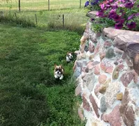 processed/80c7d41a-2f99-450b-89e2-54cdf307fd3f/facility/9b2ca161-fc34-4aa6-bcbe-9d1d5d604ef6