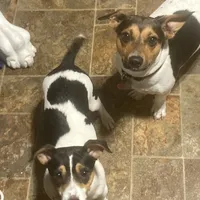 processed/80d303e8-0656-4d9e-8c82-09e19bc041f0/facility/2bc5f3c4-23bb-4178-9a13-5872fe5452cd