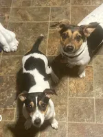 processed/80d303e8-0656-4d9e-8c82-09e19bc041f0/facility/2bc5f3c4-23bb-4178-9a13-5872fe5452cd