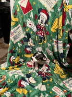 processed/80d303e8-0656-4d9e-8c82-09e19bc041f0/listing/c45e6d16-ac3e-406c-82dc-c96c84d2e84f/a8cbbdb5-5953-46f9-98b4-4f7b0edfe9da