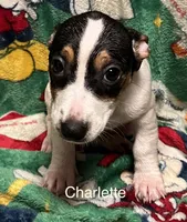 processed/80d303e8-0656-4d9e-8c82-09e19bc041f0/listing/c45e6d16-ac3e-406c-82dc-c96c84d2e84f/e9945395-5353-4cd7-871f-8302b6e66750